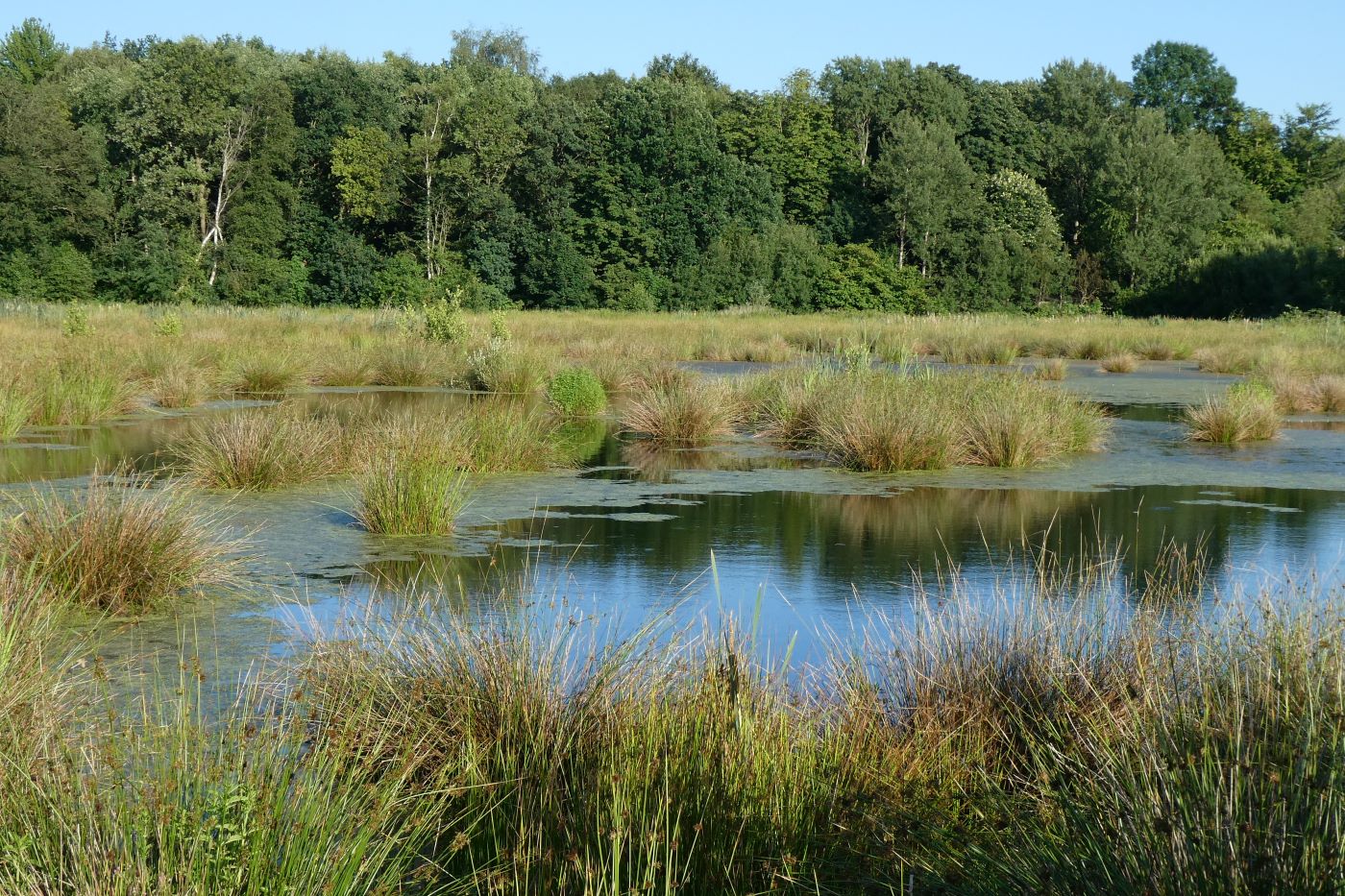 Bredenmoor - im Norden von Lehe