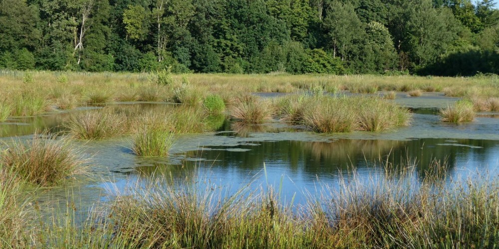 Bredenmoor - im Norden von Lehe