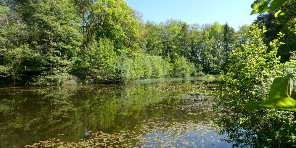 Gemeinde Beverstedt - Lunestedt und Otterbiotop